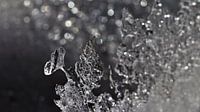 Ijskristallen in de winter in Zwitserland van Felina Photography thumbnail