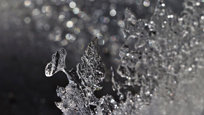 Ijskristallen in de winter in Zwitserland van Felina Photography
