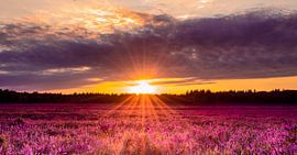 Sunset by Edwin Fennema