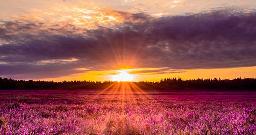 Zonsondergang op de Renderklippen (Epe)