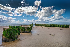 Pfeilerköpfe in Vlissingen von Michel Groen