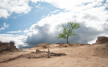 Aekingerzand – kahle Dünen