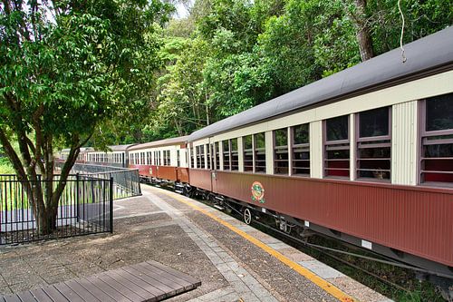 Stap uit bij station Barron Falls