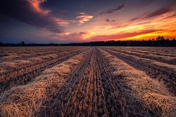 Zonsondergang bij gemaaide hooi in Achterhoek