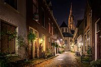 Nachtspaziergang