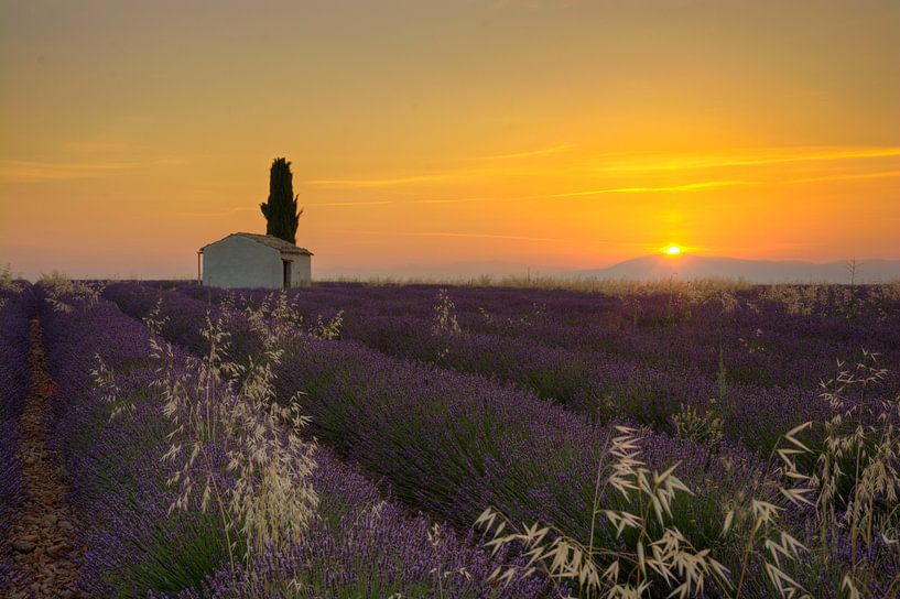 L'aurore par Georges Rudolph