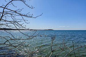 Am Ufer in der Goor, Insel Vilm, Lauterbach auf Rügen