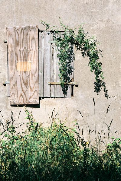 La vie à la campagne ! par Momentaufnahme | Marius Ahlers