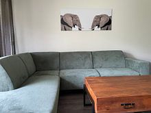 Kundenfoto: Elefanten von Hennie Zeij, auf alu-dibond