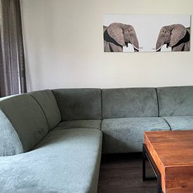 Photo de nos clients: Éléphants par Hennie Zeij, sur alu-dibond