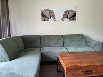 Kundenfoto: Elefanten von Hennie Zeij