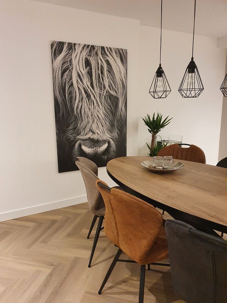 Highlander écossais par Desiree Tibosch