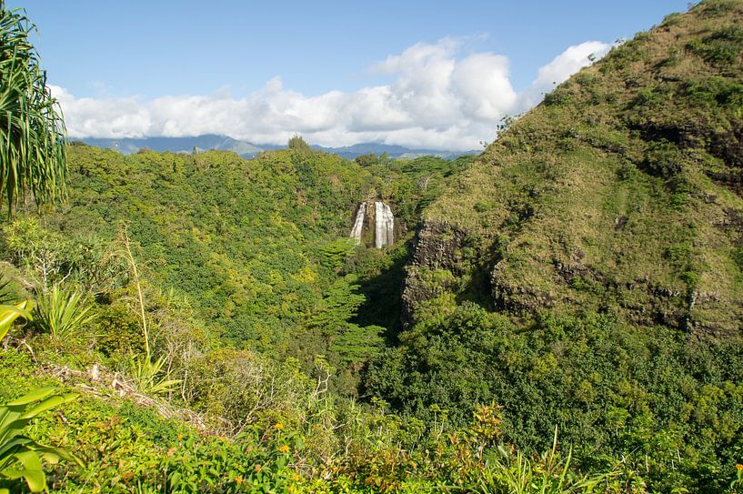 Opaekaa-Fälle von Andrea Ooms