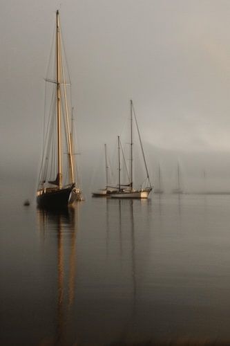 Vision créative de voiliers en mouvement sous un ciel d'été brumeux