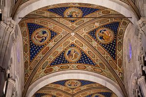 Plafond peint de la cathédrale Saint-Martin de Lucques, en Toscane, Italie.