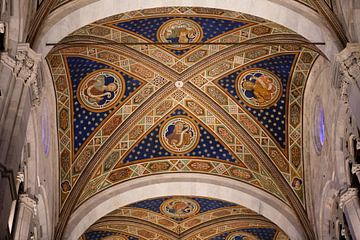 Bemalte Decke der Kathedrale San Martino in Lucca, Toskana, Italien
