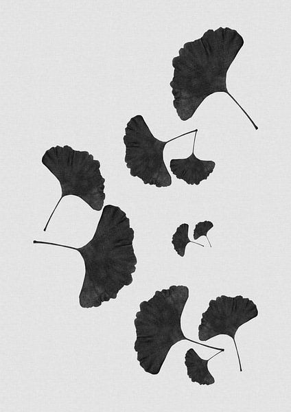 Ginkgo-Blatt Schwarz-Weiß I von Orara Studio