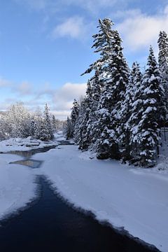 La rivière noir en hiver sur Claude Laprise