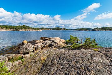 Paysage sur la péninsule de Riveneset en Norvège sur Rico Ködder