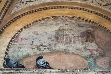 Duiven Castel Sant'Angelo Rome van Nicolette Suijkerbuijk