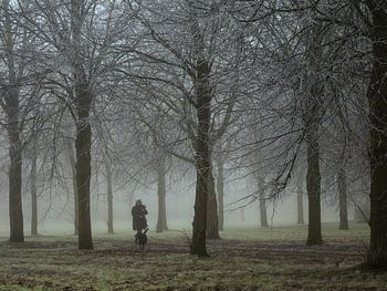 Park met nevel en wandelaar