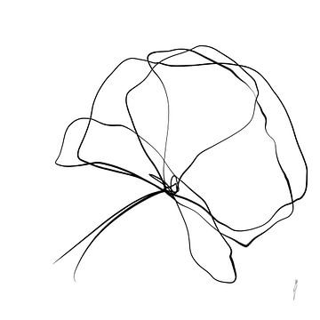 Klaproos one-line drawing in reeks part 3