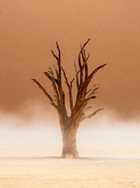 Ein einsamer Baum in einer nebligen Wüste