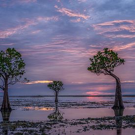 Indonesien, tanzende Bäume bei violettem Sonnenaufgang von Ton van den Boogaard