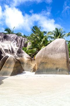 Anse Source d'Argent van Dirk Rüter