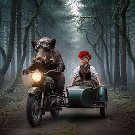 Wilde Schwarzwald-Fahrt 1.0 von Ingo Laue