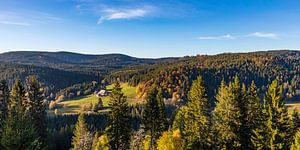 Panorama de la maison de la Forêt-Noire sur Werner Dieterich