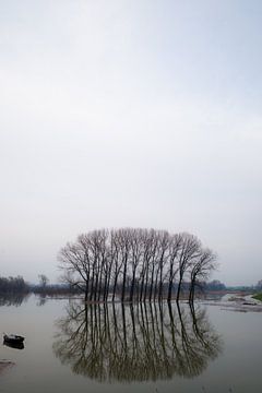 Trees in high tide van Alex van Doorn