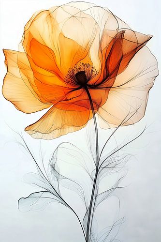 The Inner World of the Poppy no.3