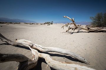 Mesquite flat sand dunes in Death Valley von De wereld door de ogen van Hictures