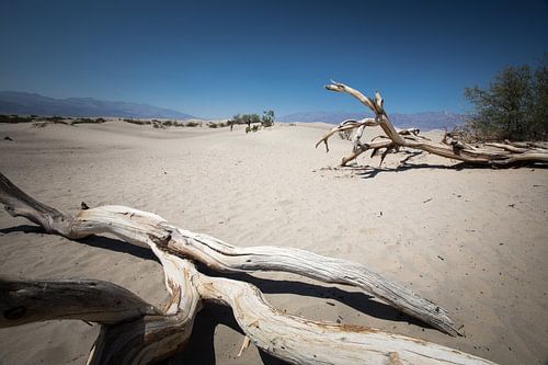 Mesquite flat sand dunes in Death Valley