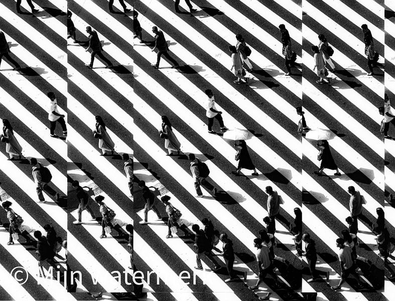 Buiten de Lijntjes lopen van Truckpowerr
