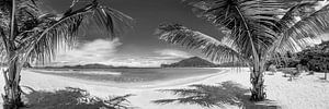 Tropischer Karibik Strand in schwarz-weiß