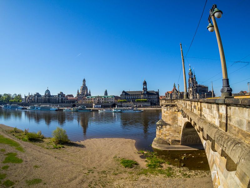Blick vom Elbufer auf Dresden von Animaflora PicsStock