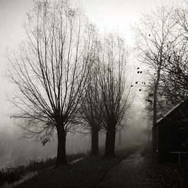 Brouillard sur R. Khoenie