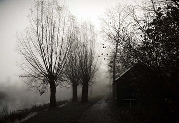 Mist van R. Khoenie