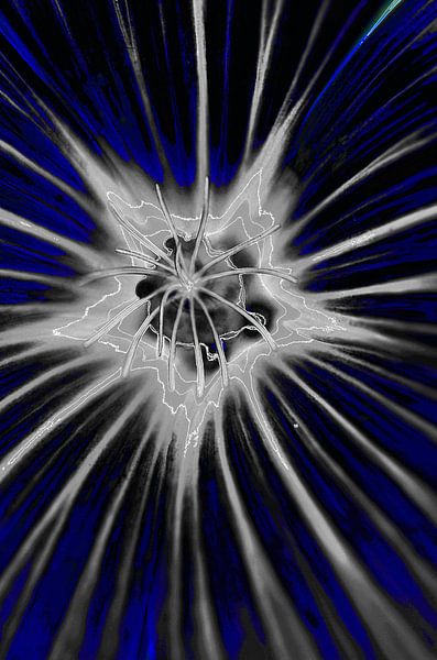 Fleur en bleu &amp; blanc par De Rover