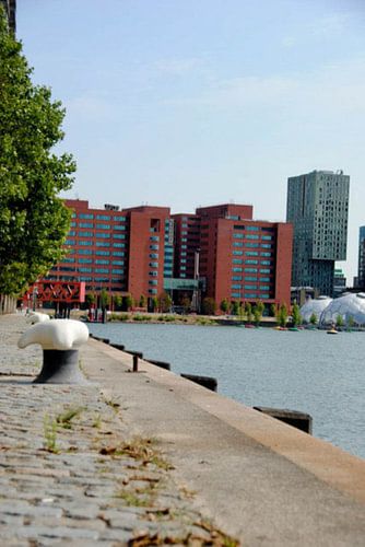 Architectuur in Rotterdam