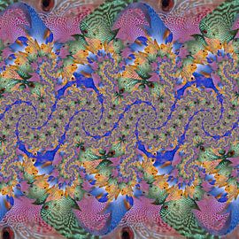 Continuous Spiral of Tropical Fish by Tis Veugen