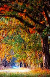 Herbstbäume by Lars Tuchel