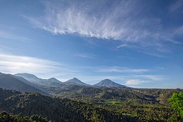 Die Straße in den Hügeln und dem blauen Himmel, idyllische Landschaft, Weg in den Bergen, grüne Reis von Tjeerd Kruse