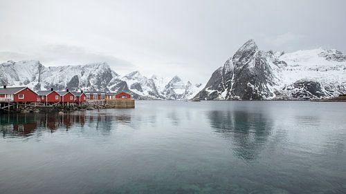 Hamnøy - Norvège