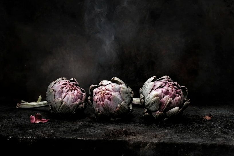 in the heart of the artichoke by Franka Poulain