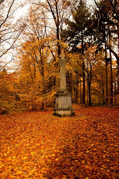 Herfst par Fatima Maria Mernisi