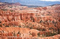 Amerika, Bryce Canyon