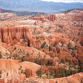 Amerika, Bryce Canyon von Jacqueline Ermens